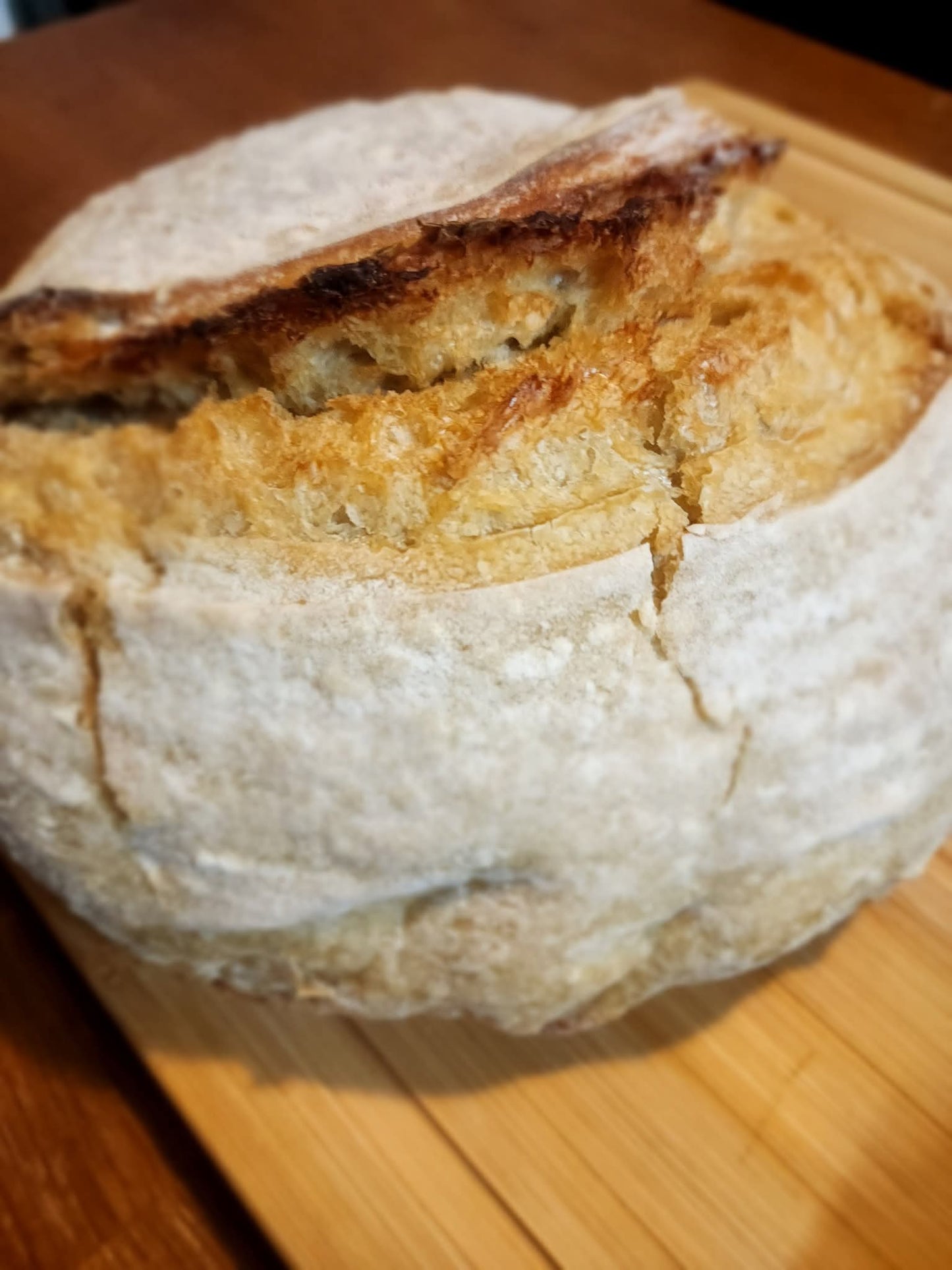 Sourdough Class March 15