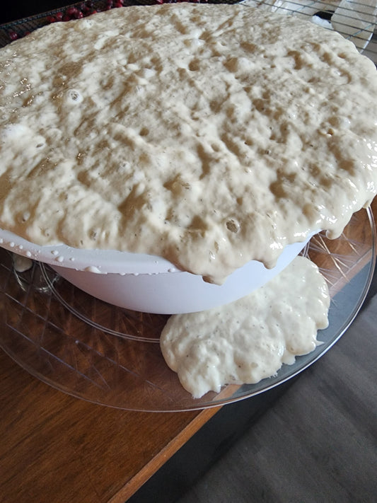 Sourdough starter-dehydrated