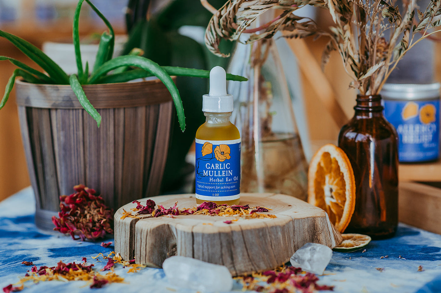 Garlic & Mullein Ear Oil, 1/2 oz