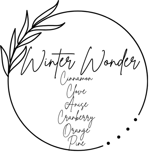 Winter Wonder Simmer pot kit